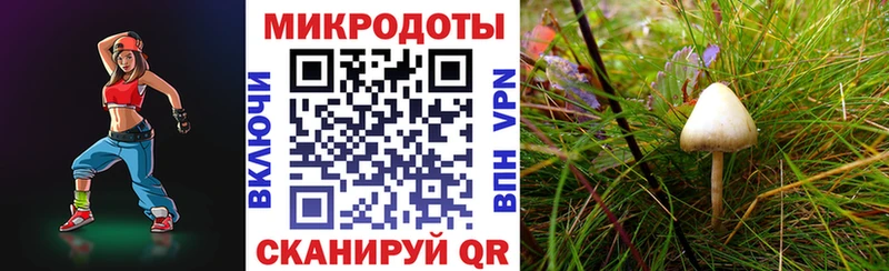 Псилоцибиновые грибы MAGIC MUSHROOMS  Салехард 